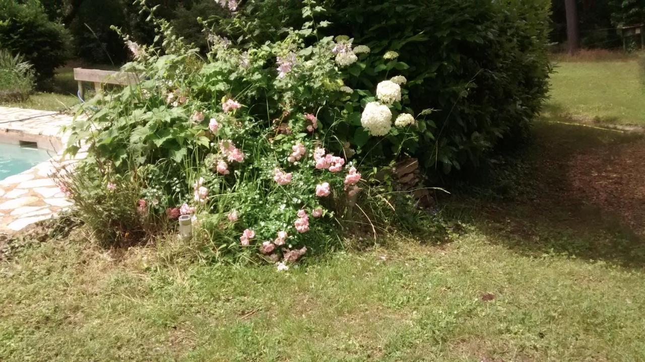 La Bousquatiere Bed & Breakfast Piolenc Eksteriør bilde
